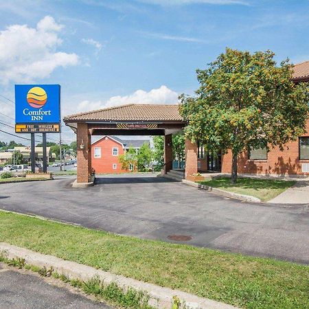 Comfort Inn Bathurst Zewnętrze zdjęcie