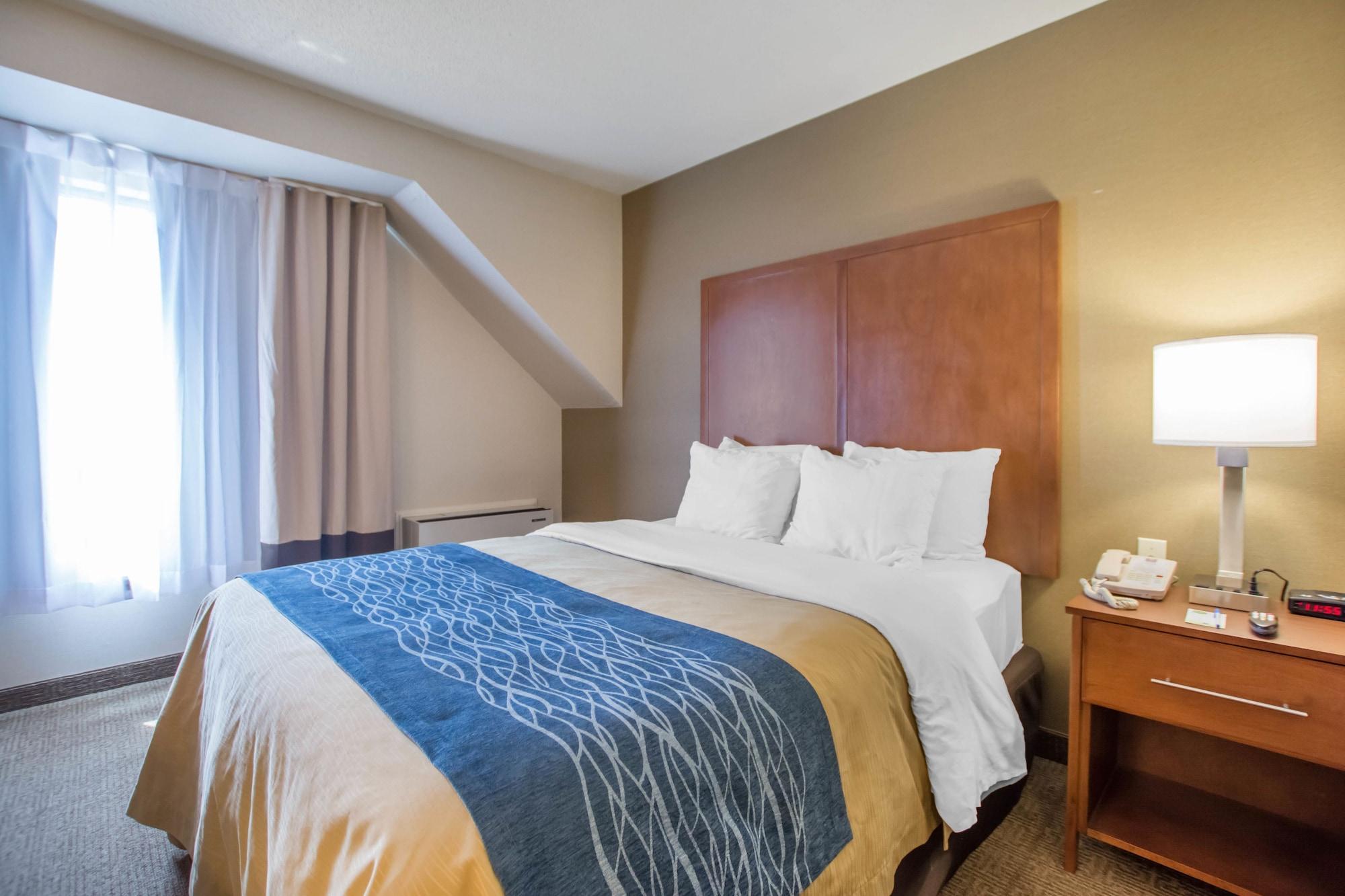 Comfort Inn Bathurst Zewnętrze zdjęcie