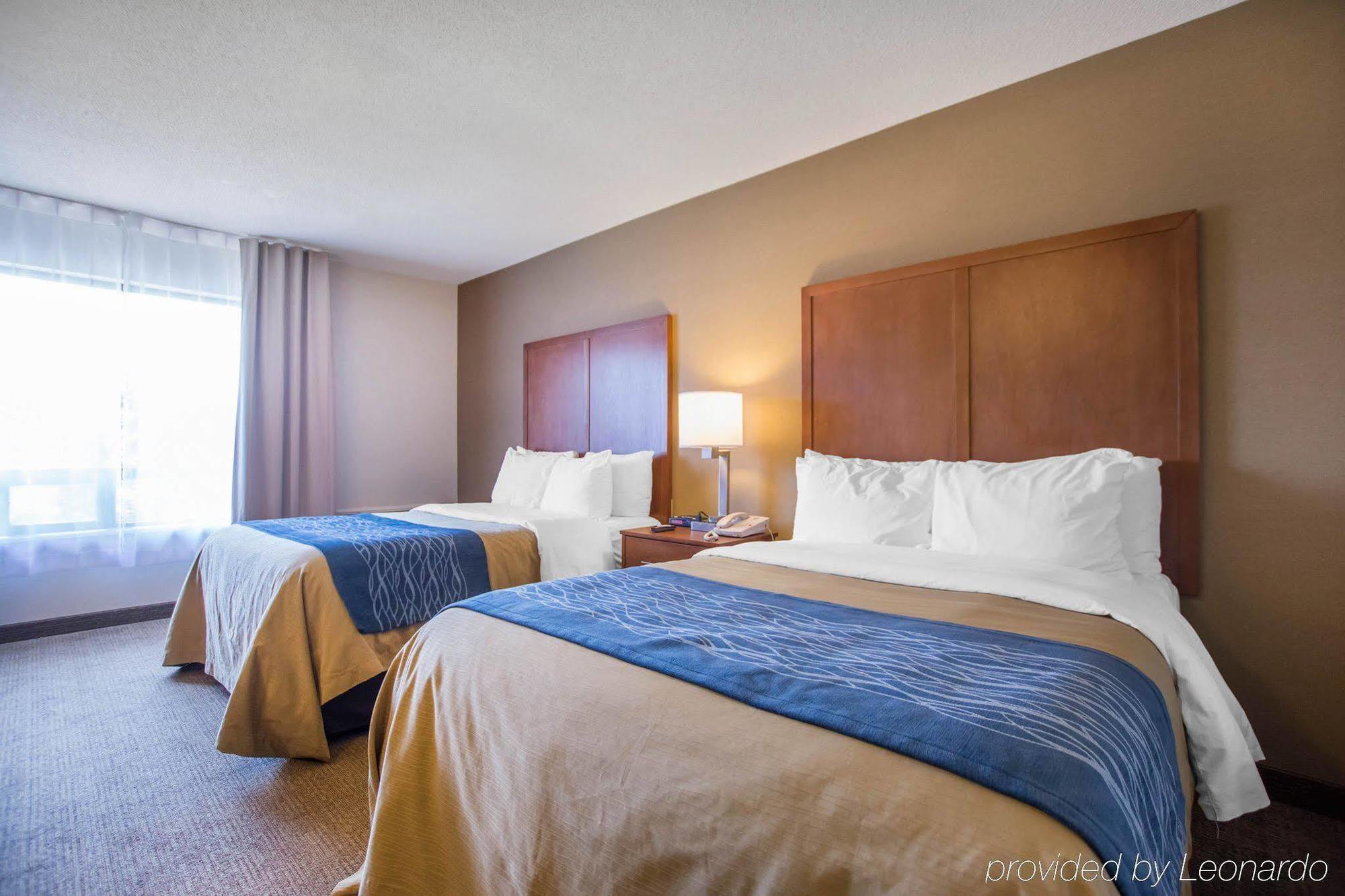 Comfort Inn Bathurst Zewnętrze zdjęcie