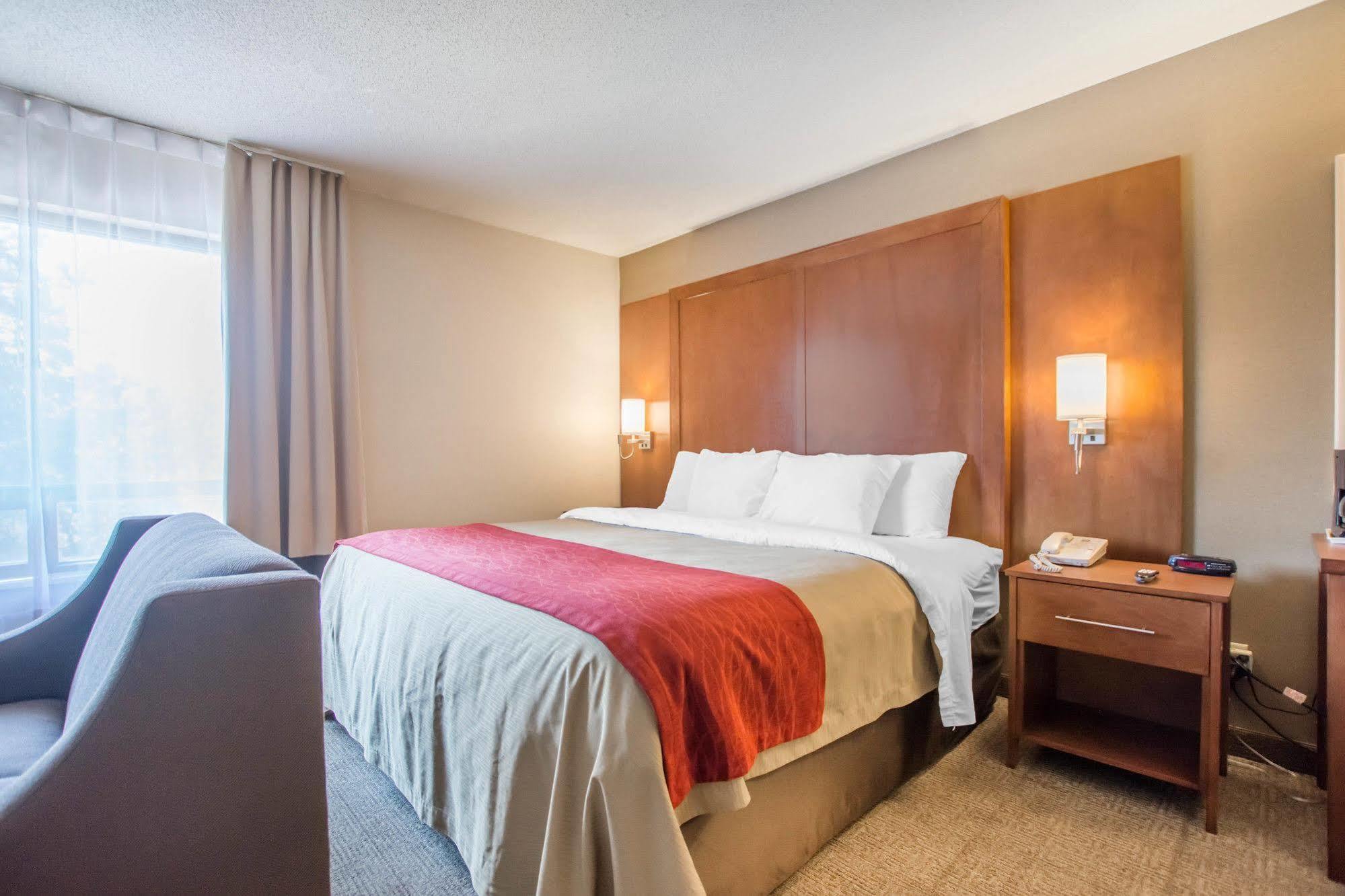 Comfort Inn Bathurst Zewnętrze zdjęcie